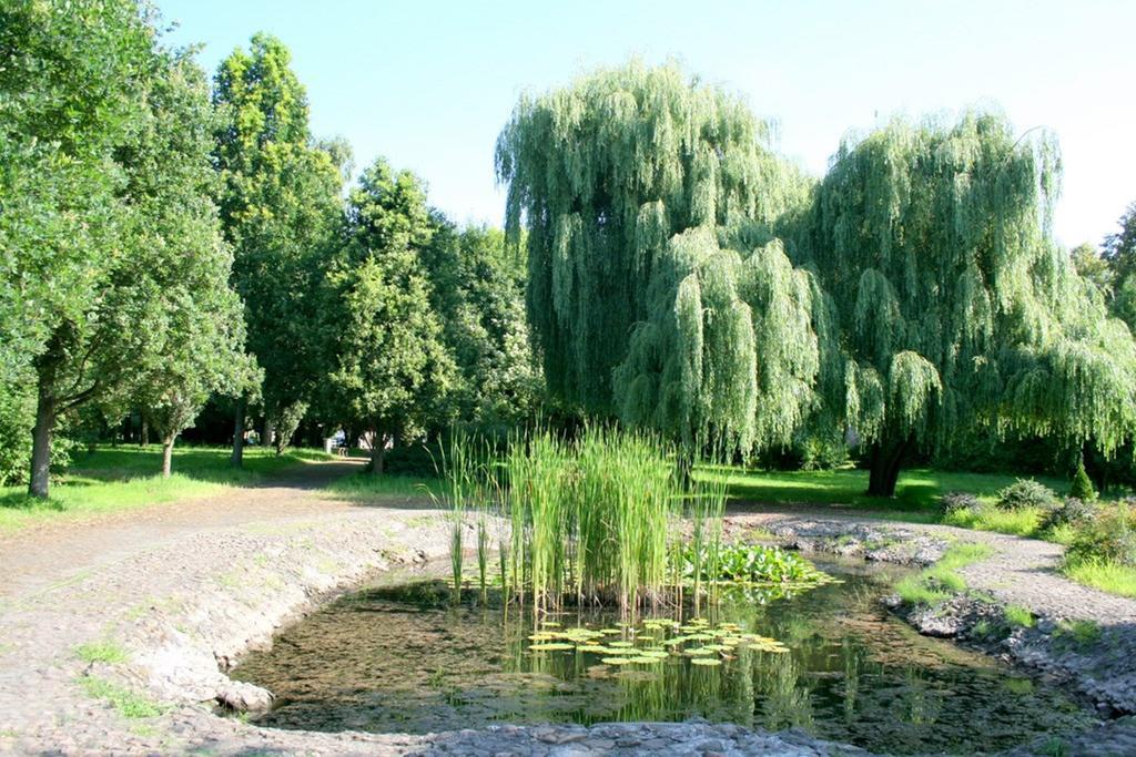 Hotel Odr Sulechów Eksteriør billede